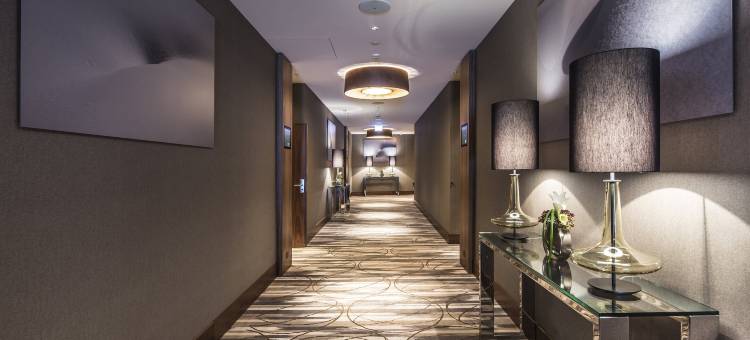 塔沃阿尔卑斯金酒店(AlpenGold Davos)图片