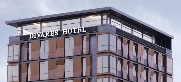 Divares豪华酒店(Divares Luxury Hotel)图片