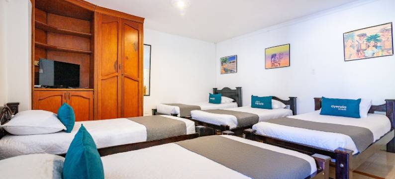 Ayenda兰花19(Ayenda Orquidea 19)图片