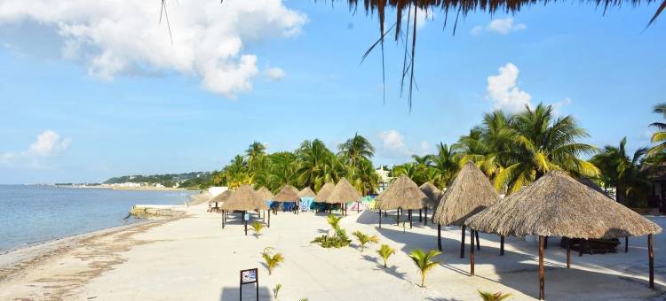 叙述阁楼(Narrativ Lofts)图片