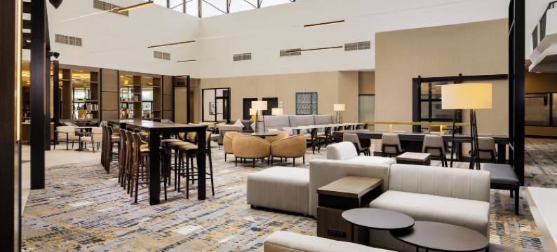底特律大都会机场喜来登酒店(Sheraton Detroit Metro Airport)图片