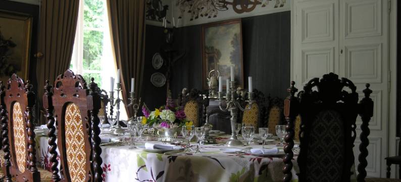 城堡连锁普莱西-安茹酒店(Château du Plessis - Anjou)图片