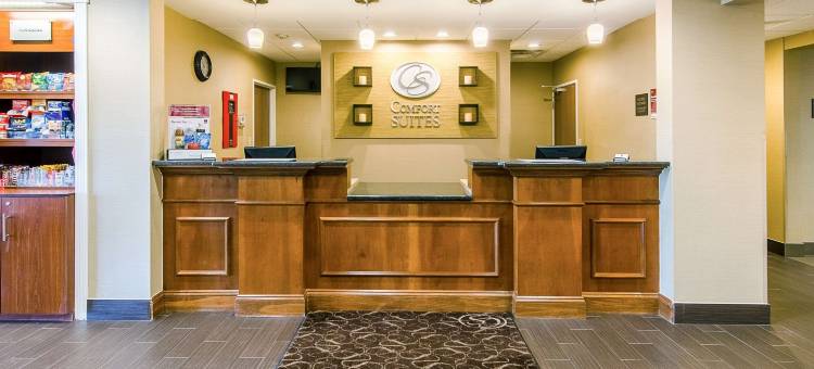 舒适套房酒店(Comfort Suites)图片