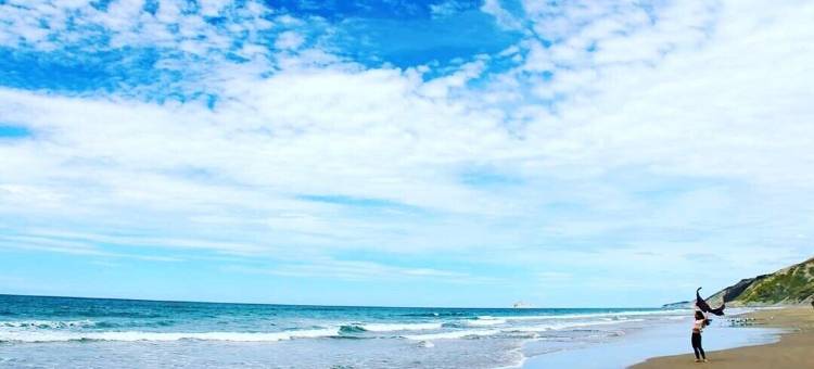 西岸海滩舒适酒店(Comfort Inn Westshore Beach)图片