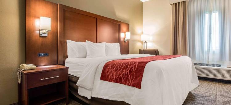 特斯柏罗-肯特舒适套房酒店(Comfort Inn & Suites Streetsboro - Kent)图片