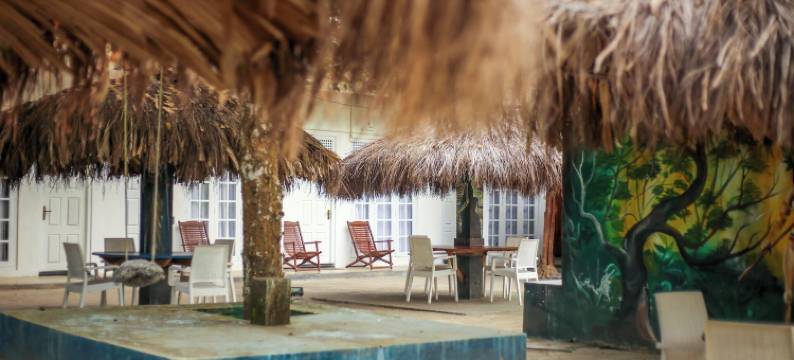 埃勒森林浴(Ella Forest Bath)图片