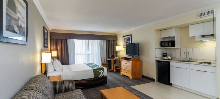 市中心内港品质酒店(Quality Inn Downtown Inner Harbour)图片