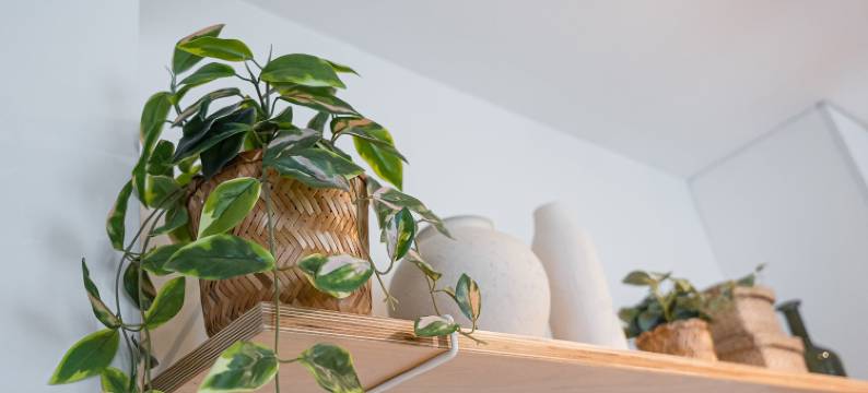 GuestReady - Óptima localização perto do Bolhão图片