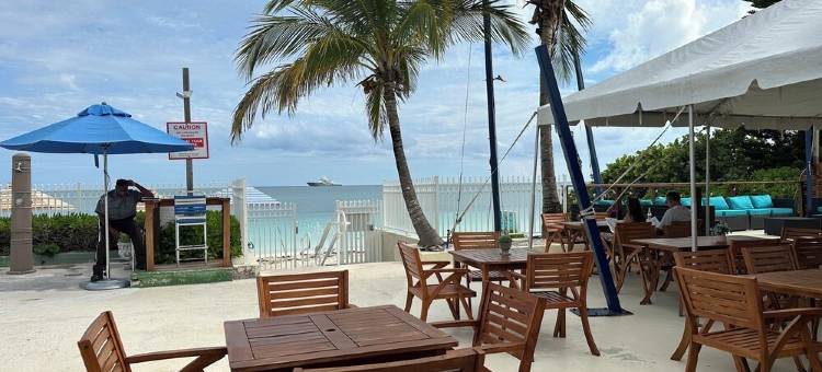 棕榈树湾-海滨;绝美部分海景民宿!(Palm Tree Cove - Stunning Partial Ocean Views; Beachfront Location!)图片