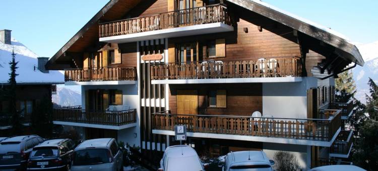 Apartment in 4 Vallées near Ski Lift图片