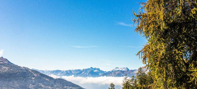 南达Bisses水疗中心公寓(Flat in Nendaz near Spa des Bisses)图片