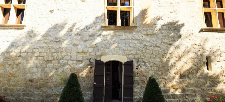 Castle near Agen with Shared Pool图片