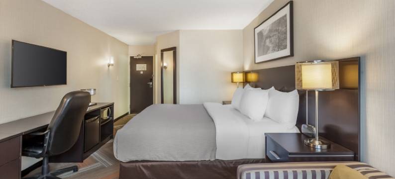 品质酒店(Quality Hotel)图片