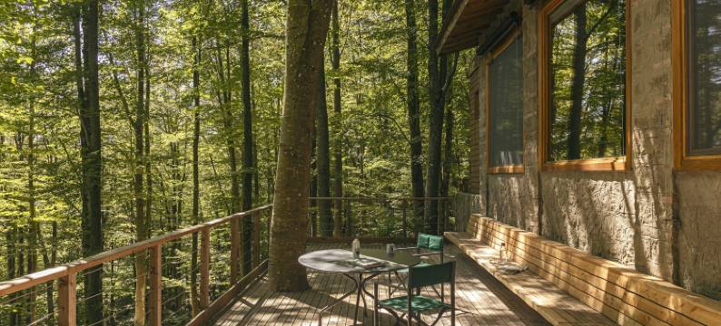 绿洲酒店(Oasyhotel)图片