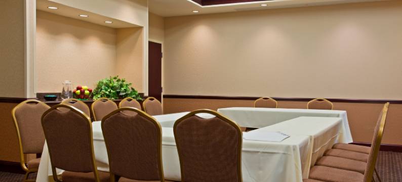 智选假日套房酒店芝加哥以西的奥黑尔ARPT(Holiday Inn Express & Suites CHICAGO WEST-O'HARE ARPT AREA by IHG)图片