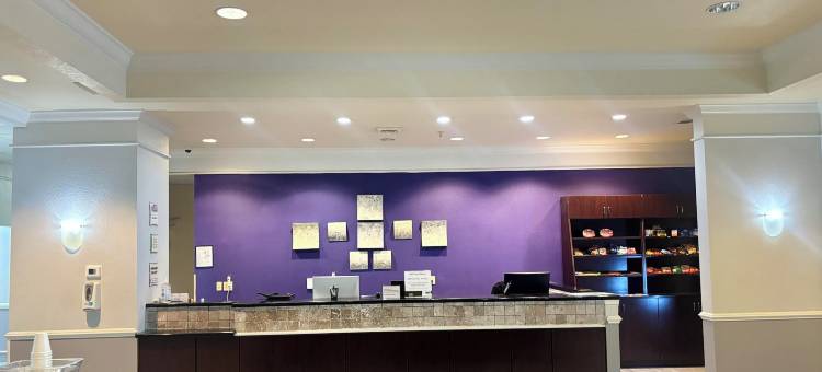 拉昆塔温德姆酒店- 蒂尔曼角(Stay Express Inn & Suites - Mobile, Al)图片