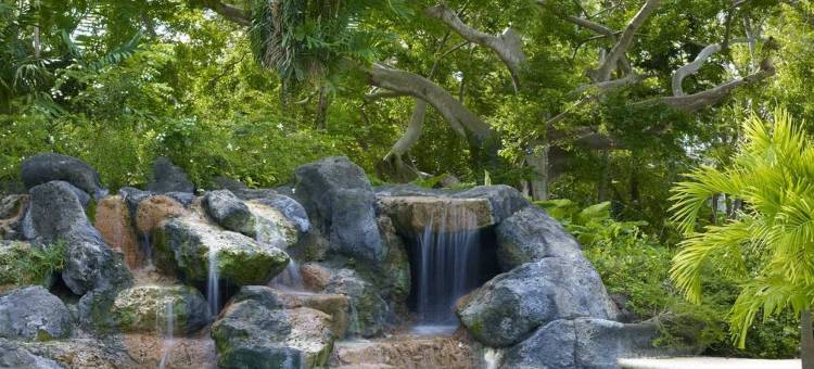 Colony Club, a Luxury Collection Resort, Barbados图片