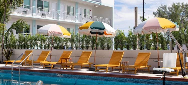 Selina Gold Dust图片