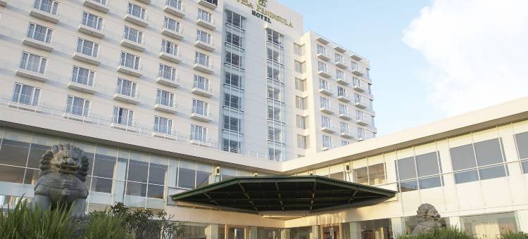 巨港半岛酒店(Sintesa Peninsula Hotel)图片