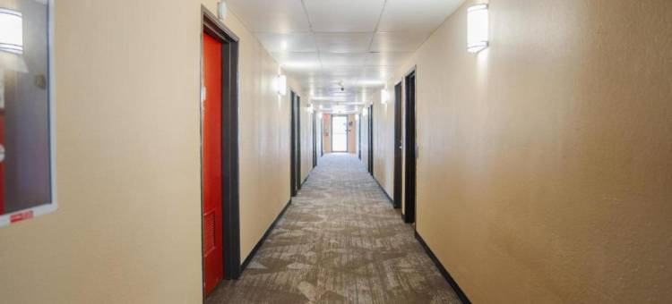 伊利诺伊利奇菲尔德 6 号汽车旅馆(Motel 6 Litchfield, IL)图片