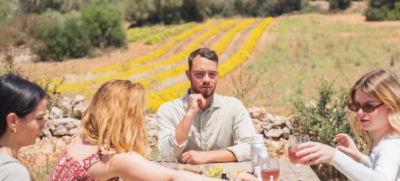 梅诺卡岛 Torre Vella Fontenille(Torre Vella Fontenille Menorca)图片