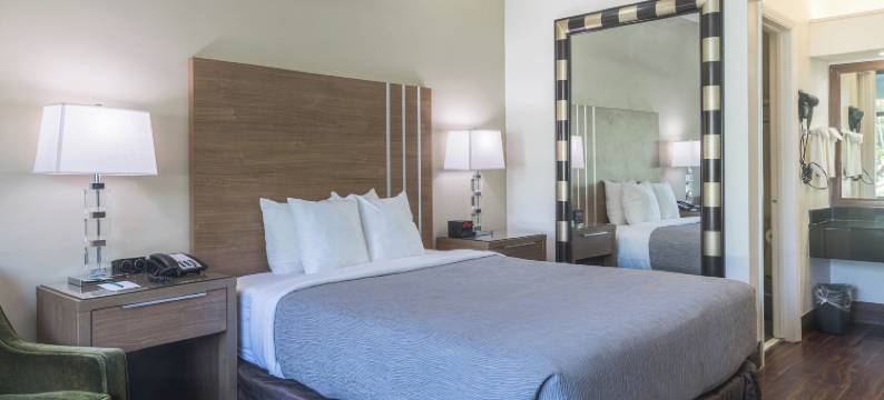 博卡－拉顿大学区凯艺酒店(Quality Inn Boca Raton University Area)图片