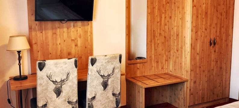 潘纳尔酒店(Hotel Paintner)图片