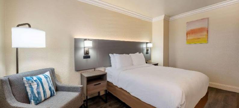 Super 8 by Wyndham Gilroy图片