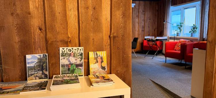 弗里德海姆斯加坦城市住宿(Fridhemsgatan City Stay)图片