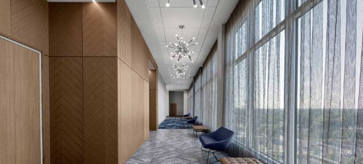 坦帕中城雅乐轩酒店(Aloft Tampa Midtown)图片