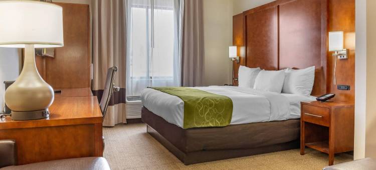 康福特套房多佛大学区(Comfort Suites Dover University Area)图片