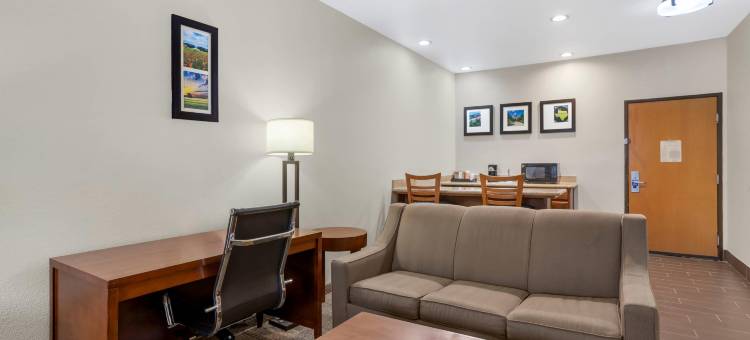 布伦纳姆舒适全套房酒店(Comfort Suites)图片