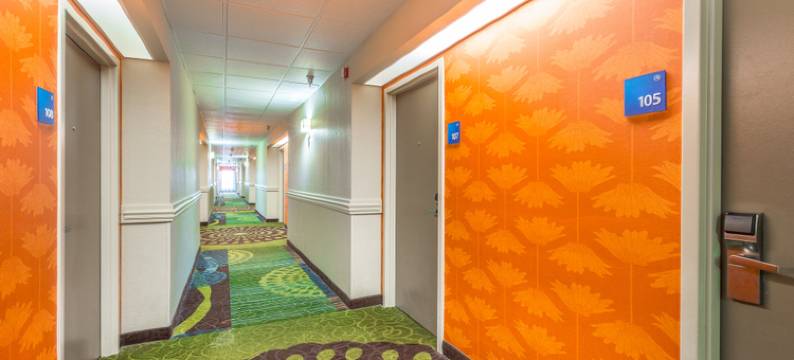 Holiday Inn Express SAINT SIMONS岛(Holiday Inn Express SAINT SIMONS ISLAND by IHG)图片