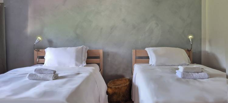 维基绿色乡村青年旅馆(Wiki Hostel Colive)图片