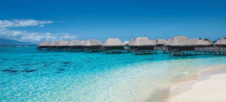 索菲特起亚索菲特奥拉莫雷阿岛海滩度假酒店(Sofitel Kia Ora Moorea Beach Resort)图片