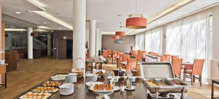 埃斯塔雷哈林肯酒店(Lam Hotel Estarreja)图片