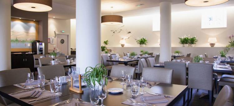 瓦勒-维涅酒店(Hôtel Val-Vignes Colmar Haut-Koenigsbourg, the Originals Relais)图片