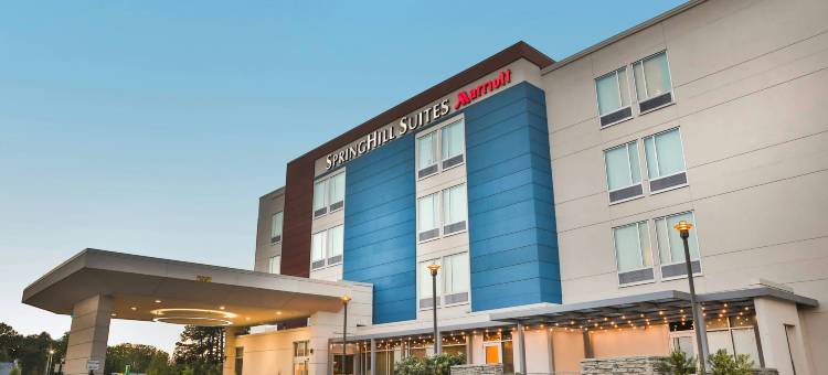 兰伯顿SpringHill Suites 酒店(SpringHill Suites Lumberton)图片