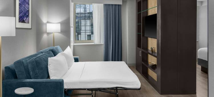 纽约市中心福朋喜来登酒店(Four Points by Sheraton New York Downtown)图片