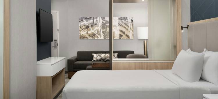 费耶特维尔 I 95万豪春丘酒店(SpringHill Suites Fayetteville I 95)图片