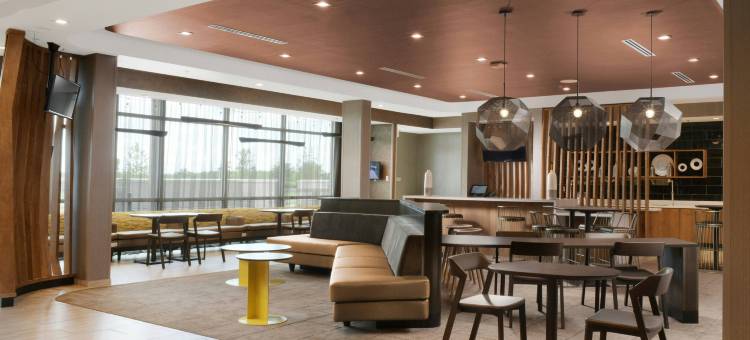 德克萨斯市SpringHill Suites酒店(SpringHill Suites Texas City)图片