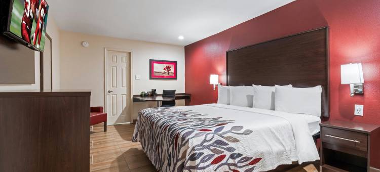 休斯顿-斯普林北红顶酒店(Red Roof Inn Houston - Spring North)图片