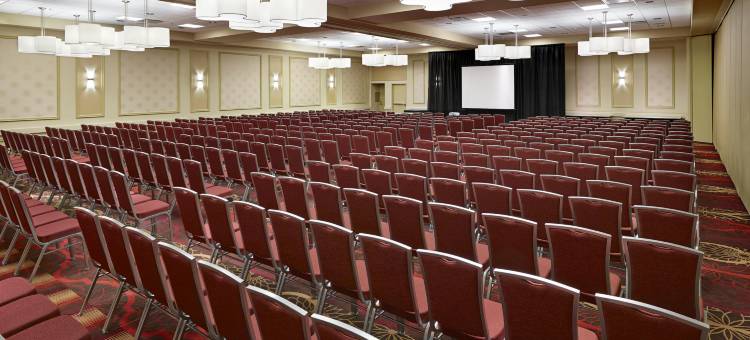 西埃德蒙顿希尔顿逸林酒店(DoubleTree by Hilton West Edmonton)图片