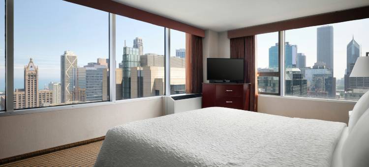 芝加哥市中心/壮丽大道希尔顿欢朋酒店(Hampton Inn Chicago Downtown/Magnificent Mile)图片