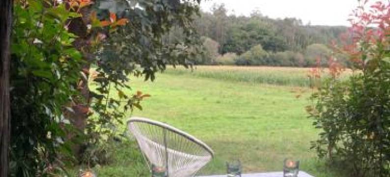 A Carballeira do Tambre图片