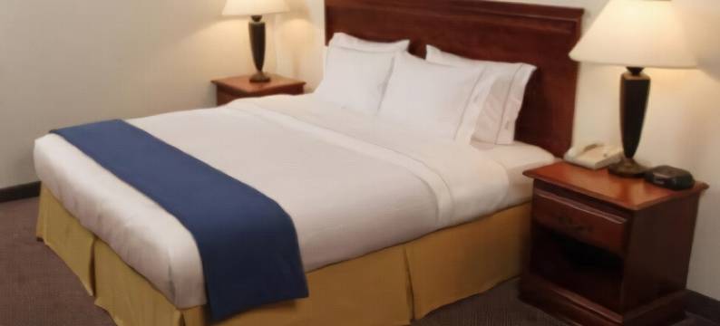 皮索尔洲际智选假日套房酒店(Holiday Inn Express & Suites PEARSALL by IHG)图片