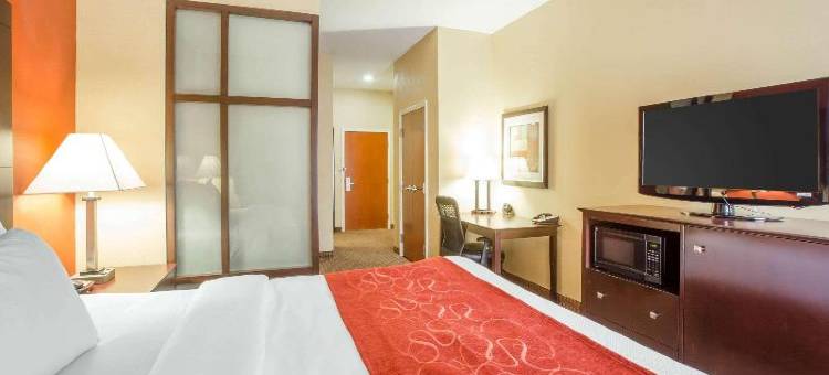 舒适套房酒店-黄金群岛(Comfort Suites Golden Isles Gateway)图片