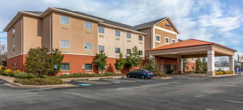 贝茨维尔舒适套房酒店(Comfort Suites)图片