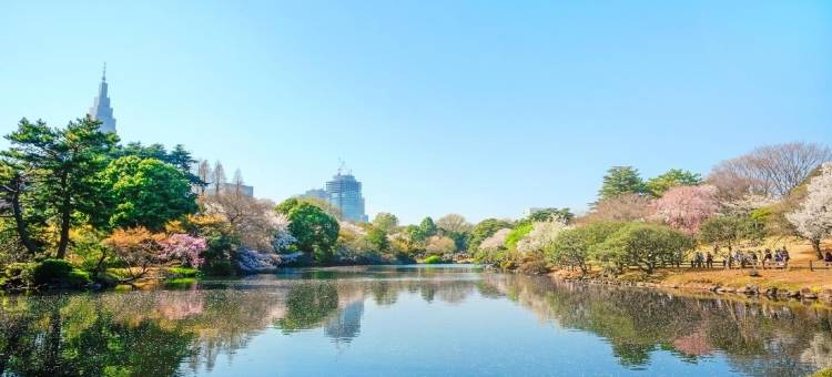 池袋永安国际酒店(Hotel Wing International Ikebukuro)图片