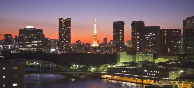 东京大崎大和ROYNET酒店(Daiwa Roynet Hotel Tokyo Osaki)图片